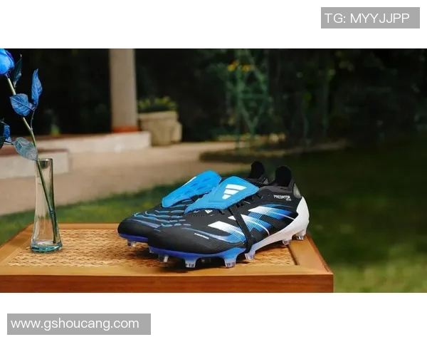 国际足球巨星专属鞋款设计图纸解析与创新理念探讨